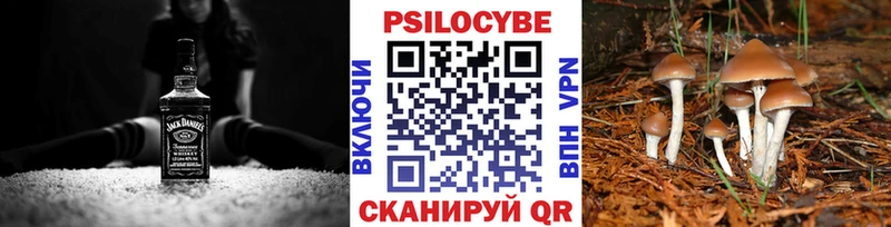 Псилоцибиновые грибы прущие грибы  Рославль 